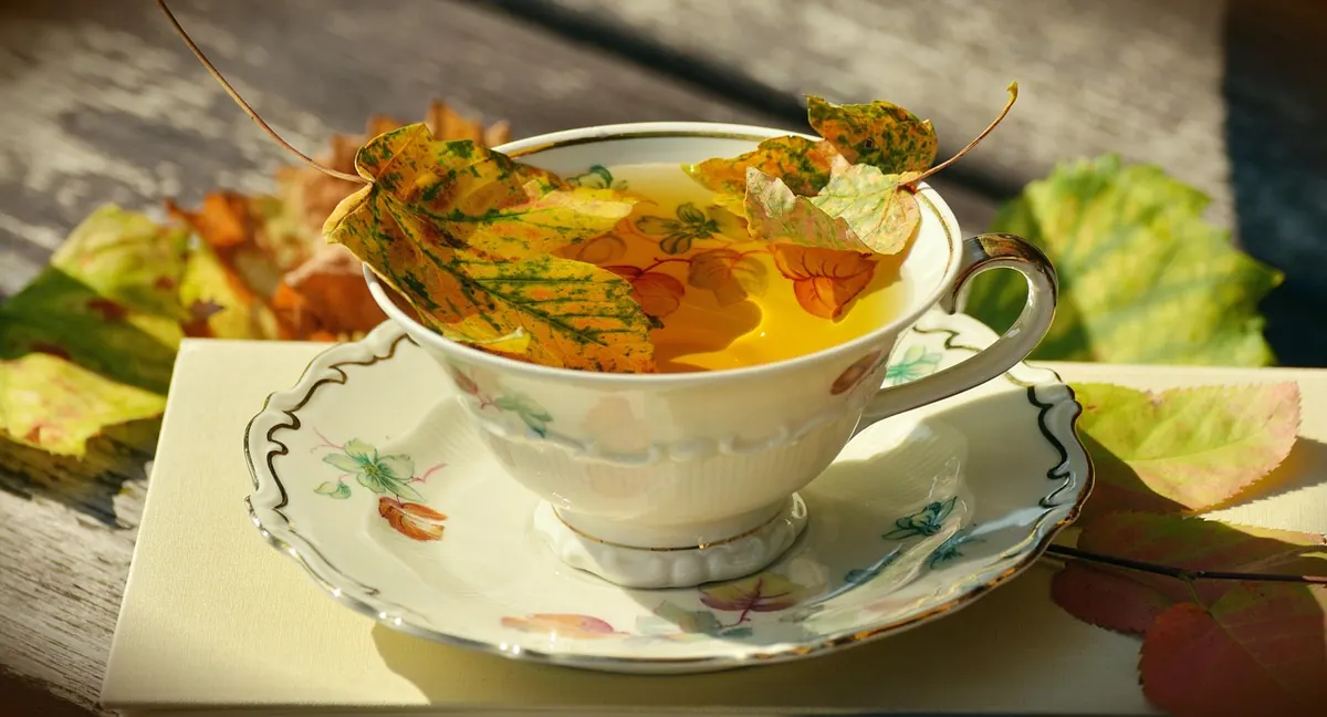 Checklist: Preparing a Woodland Garden for Winter