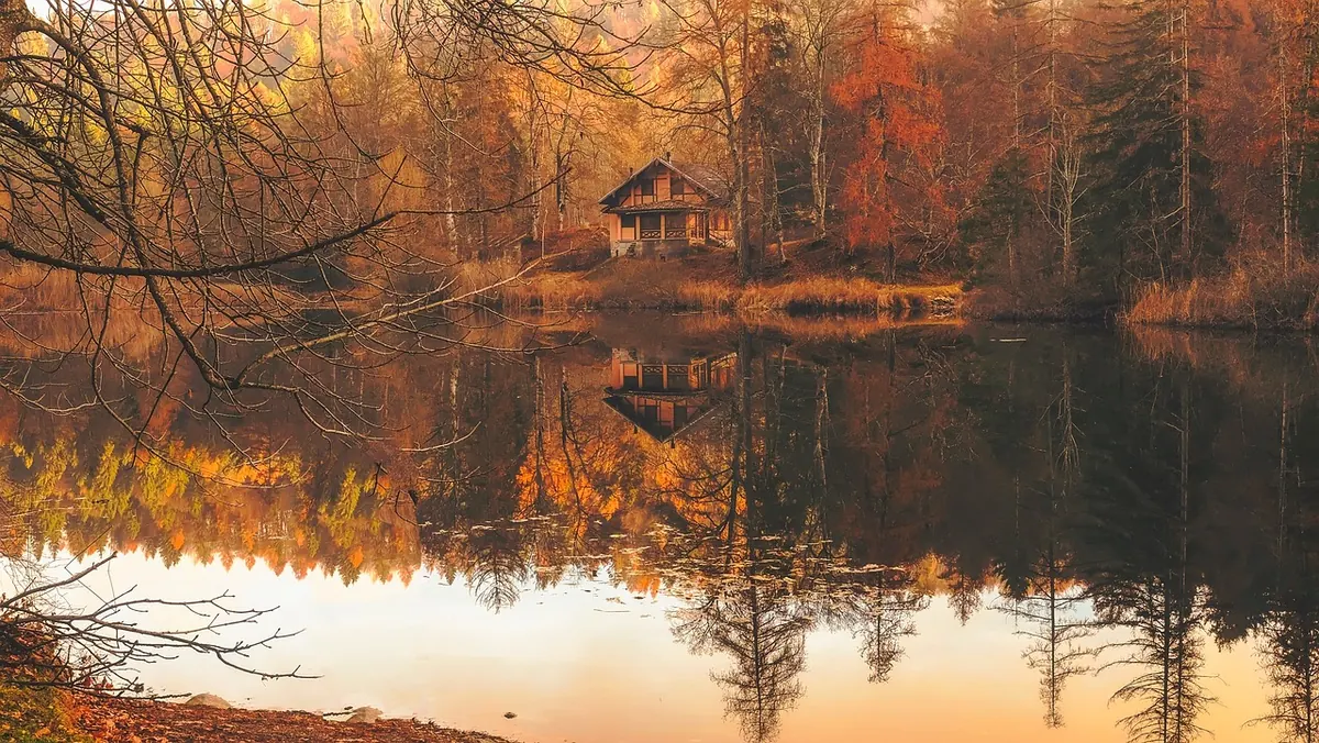 Common Mistakes to Avoid When Siting a Cabin Among Trees